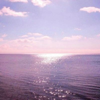 kaiyun官网下载截图