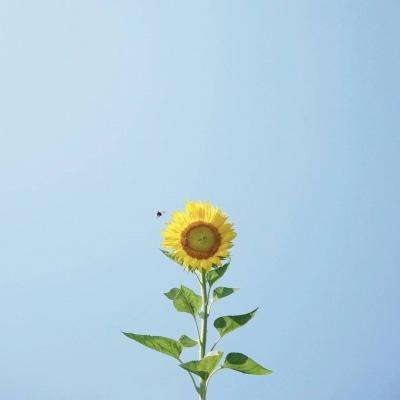 网上下单的足彩app