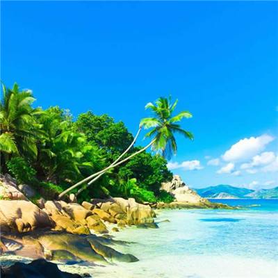 b体育官方app下载app下载