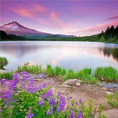 全民彩票app官网版下载