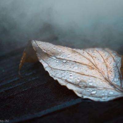 bet体育365官网正规